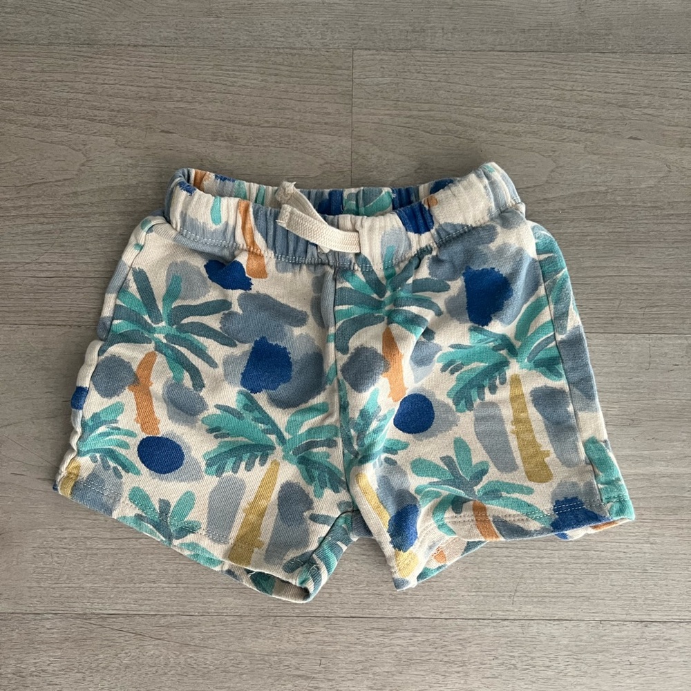 Zara shorts